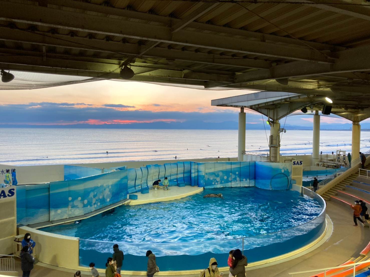 【観光】「新江ノ島水族館」はこうやって楽しもう！その魅力を解説！