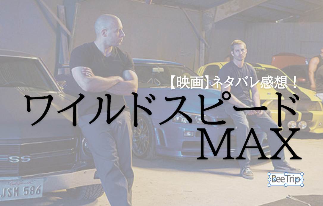 【ネタバレ感想】『ワイルド・スピードMAX』再びあの2人が帰ってきた!派手なカーチェイスが特徴の映画!