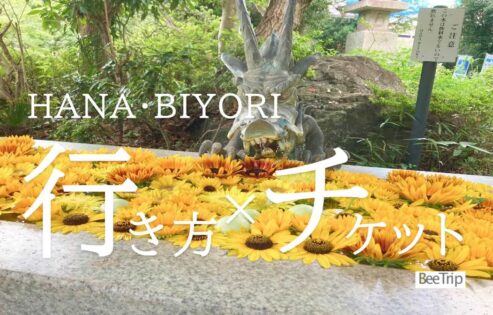 よみうりランドHANA・BIYORI(はなびより)の行き方＆お得な ...