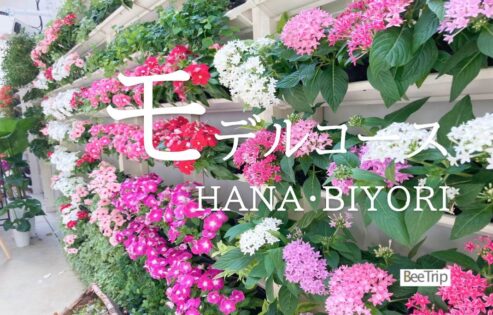 よみうりランドHANA・BIYORI(はなびより)の行き方＆お得なチケット情報