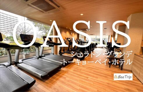 シェラトン・グランデ・トーキョーベイ・ホテルの館内施設「OASIS(オアシス)」で遊び尽くす！室内プールやフィットネスジムの様子を写真で紹介 |  BeeTrip【びーとりっぷ】