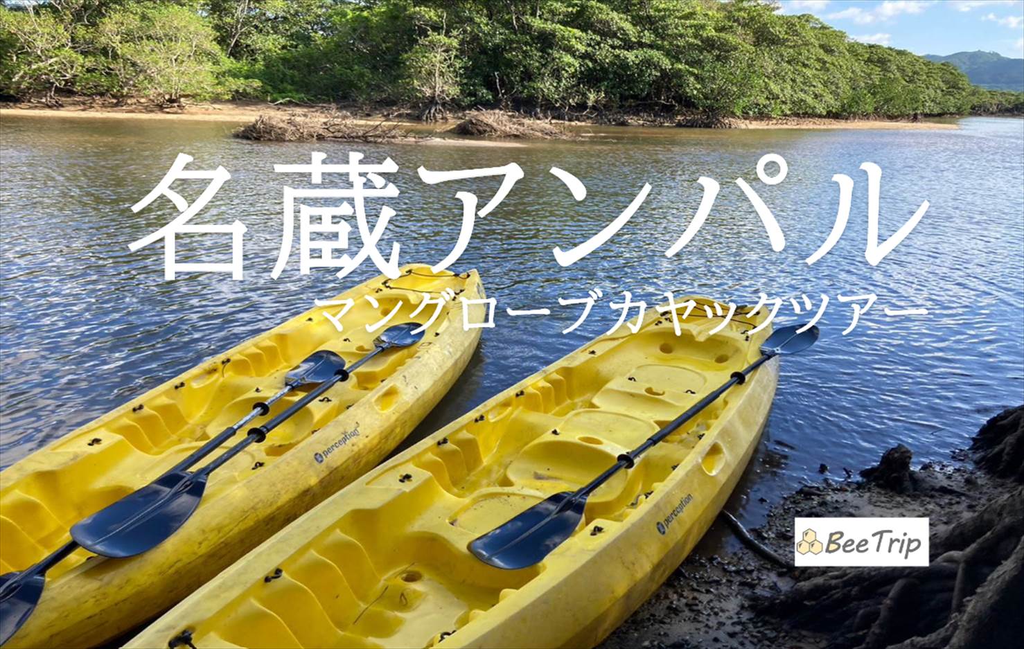 【石垣島】名蔵アンパルでマングローブカヤック体験！ラムサール保護地域の自然と植物を堪能