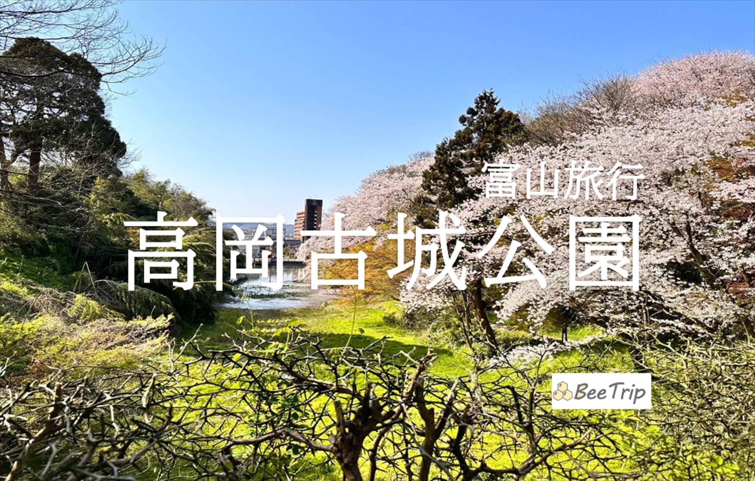 【富山】桜咲き乱れる高岡古城公園へ！動物園や神社もある公園の見どころや散策スポットをレポ！