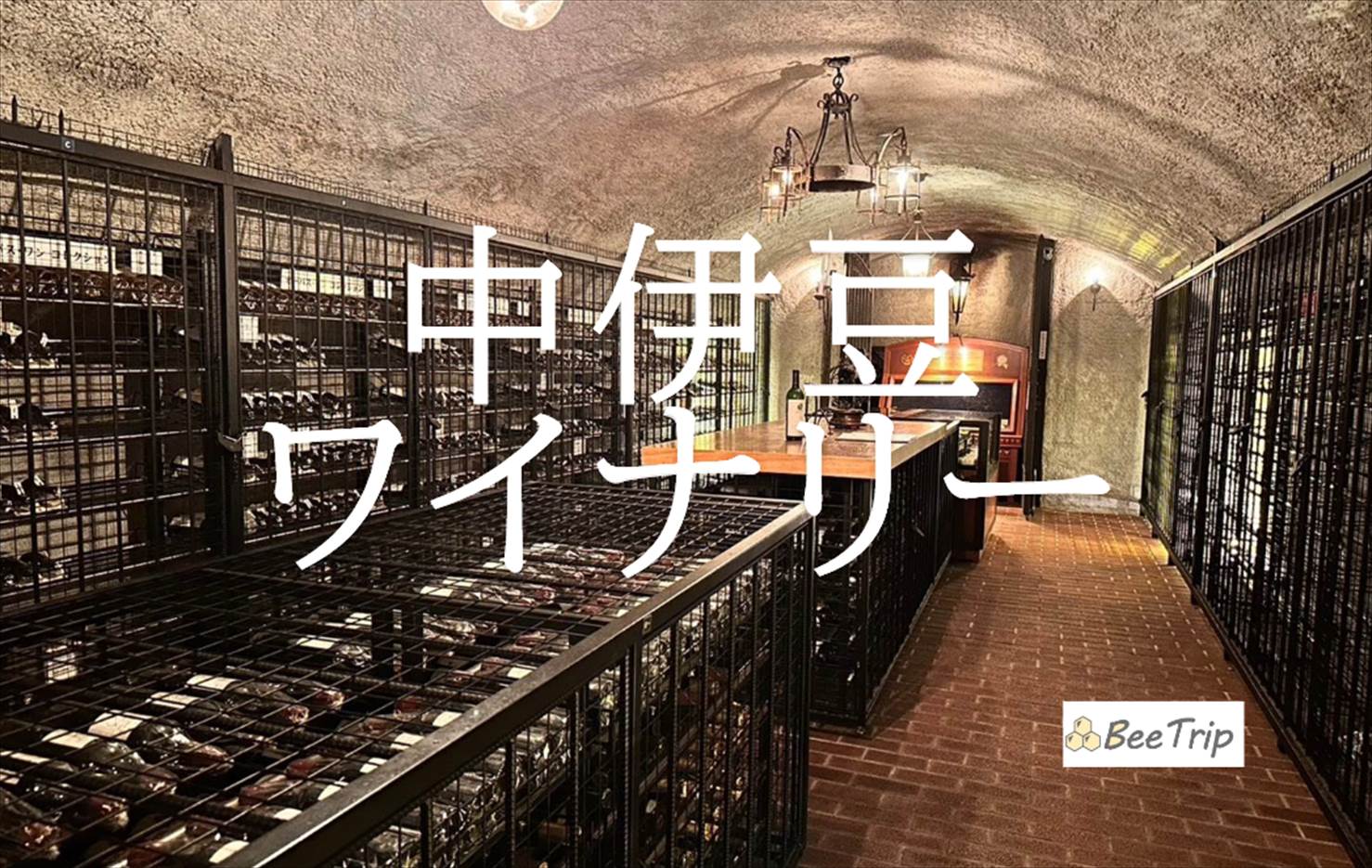 中伊豆ワイナリーヒルズでワインを満喫｜日帰りで試飲や景色を楽しむワイナリー体験レポ