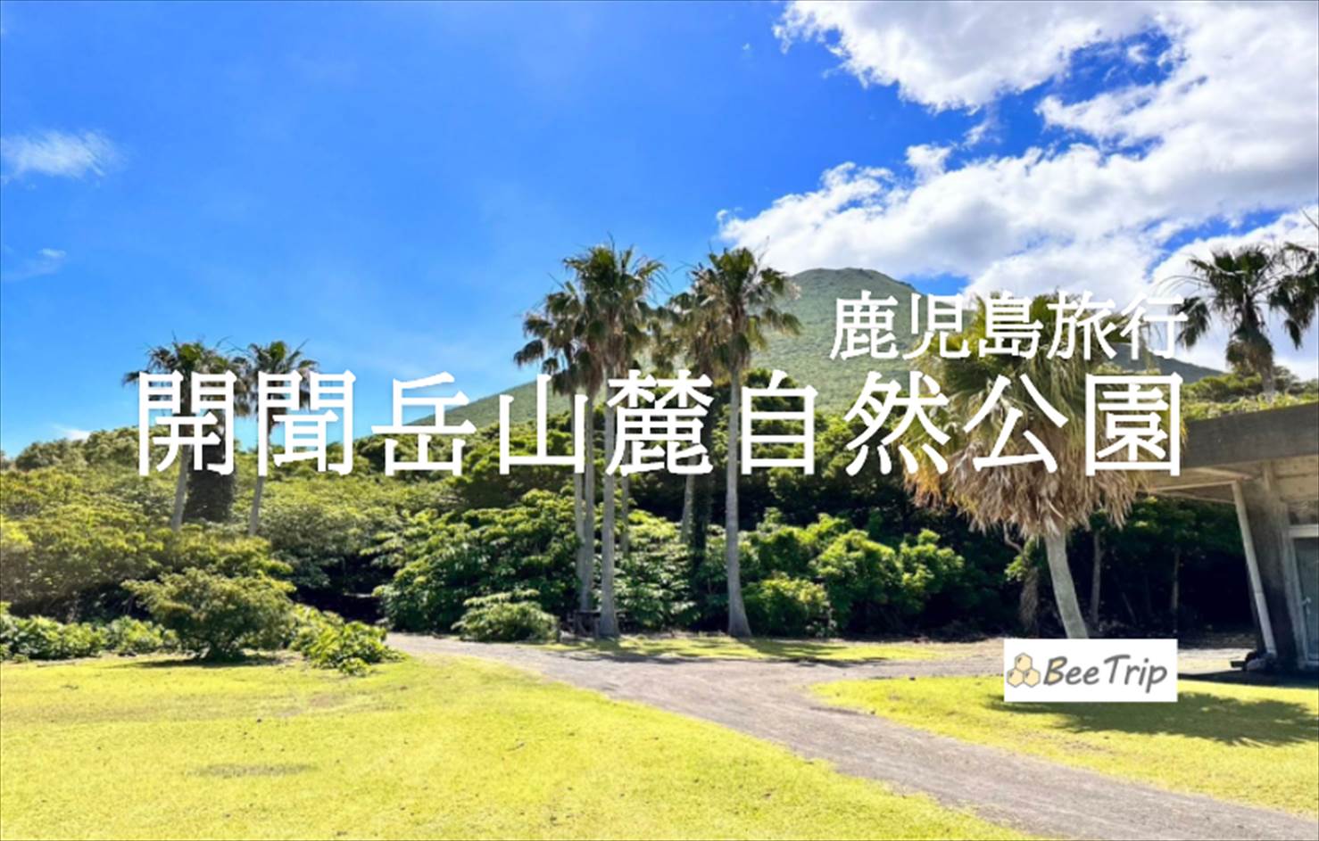 【鹿児島】開聞(かいもん)岳山麓自然公園 | トカラ馬と自然を楽しむ散策レポ