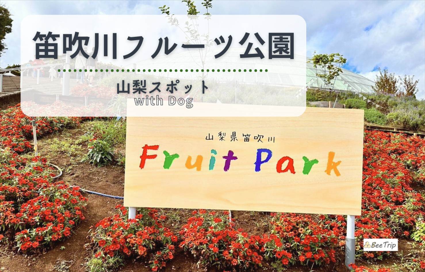 ペットOKの観光地!山梨・笛吹川フルーツ公園の楽しみ方ガイド【カフェ・散策・展望】