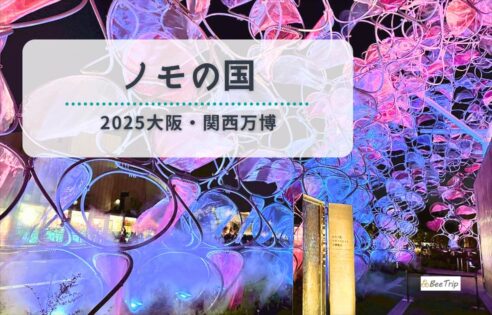 【非売品】大阪関西万博 ノモの国 パビリオン 結晶　カード付き 非売品】大阪関西万博 ノモの国 パビリオン 結晶 カード付き - メルカリ