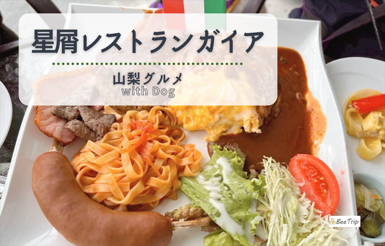 ペットOK!「展望☆星屑レストラン ガイア」で楽しむ絶品ランチと絶景テラス【山梨】