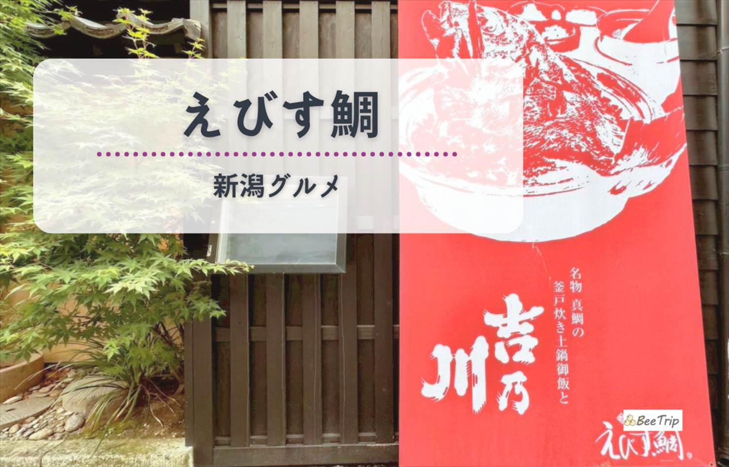 【新潟グルメ】「えびす鯛」で味わうコース料理の圧巻の海鮮&釜戸炊きご飯