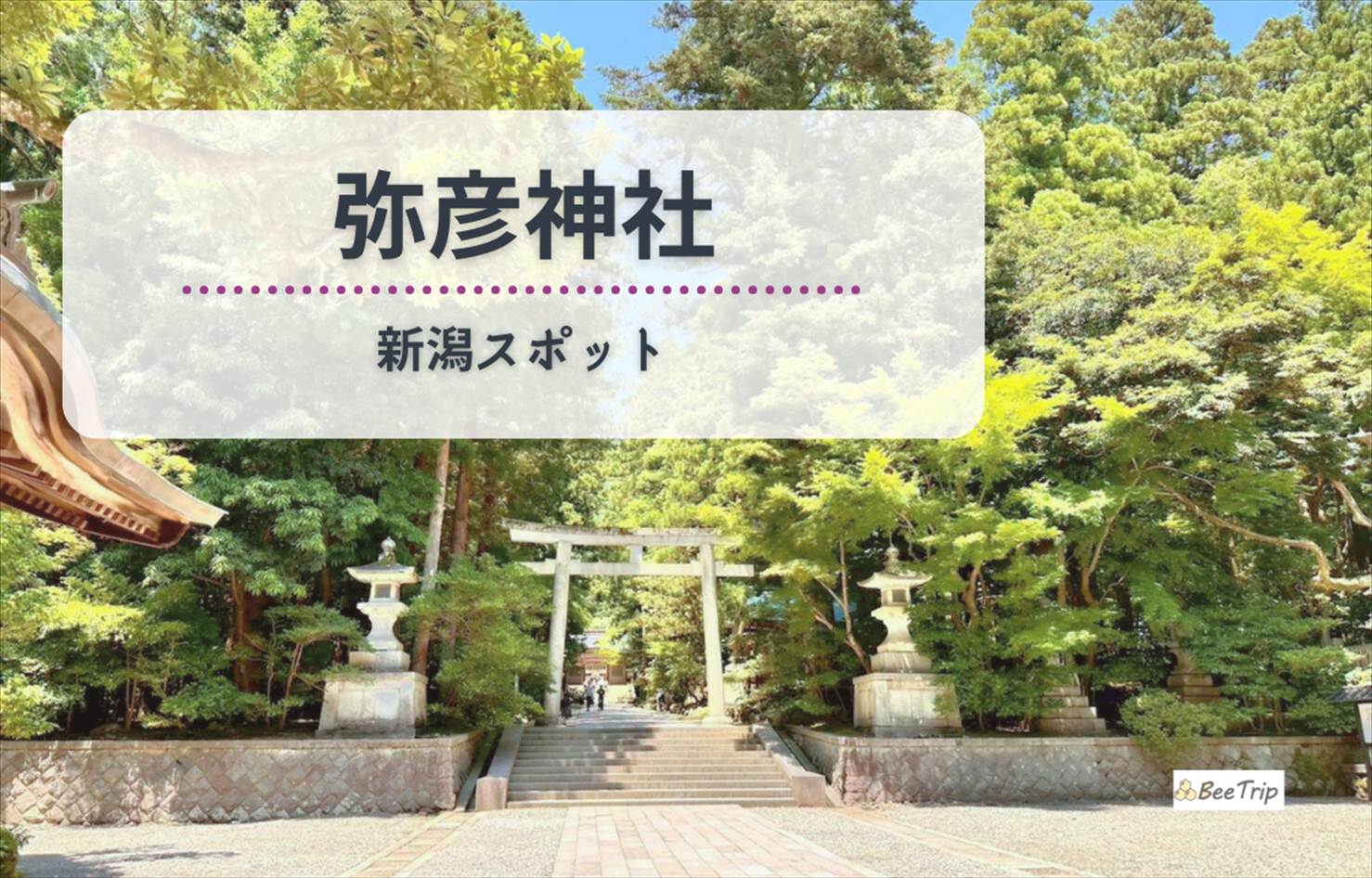 【新潟】弥彦神社でのお参り体験記｜参道・御神橋・重軽の石・境内の魅力を徹底レポ