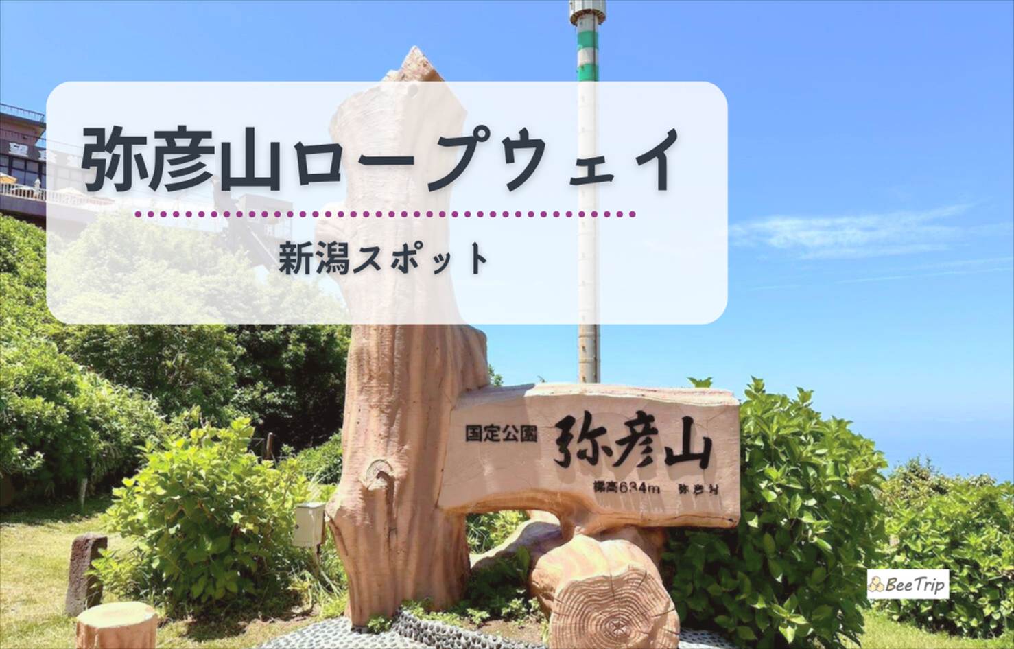 【新潟観光】弥彦山ロープウェイ体験記｜弥彦神社から繋がる天空の絶景と山頂参拝