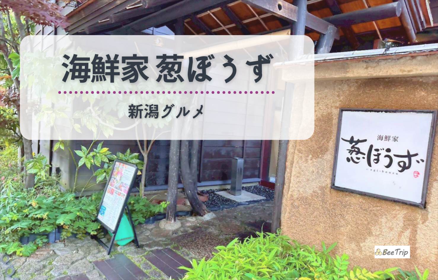 【新潟グルメ】「海鮮家 葱ぼうず」で味わう極上の佐渡海鮮!よねくらグループの人気割烹の実食レポ